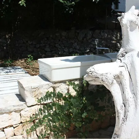 Bellini فيلة